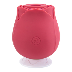 Electric Rose Toys Vibrator Sex Toy for Women Rechargeable 3 Frequencies 10 Speeds for G Spot Stimulation