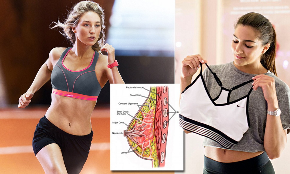 Does Wearing a Sports Bra Prevent Breast Growth