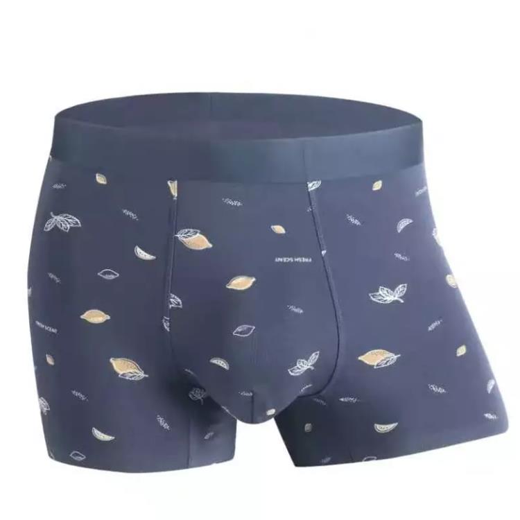 Man Short Leg Boxer Brief