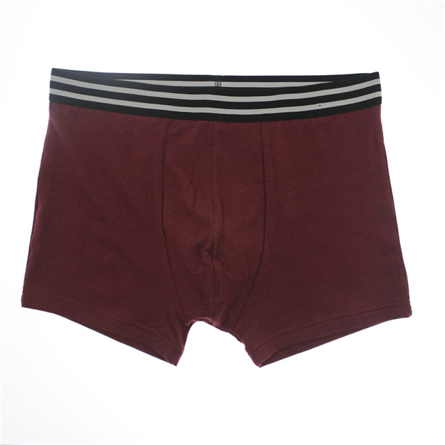 Caleçons pour hommes