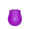 UM-BS023-1 ROSE Toy without stem