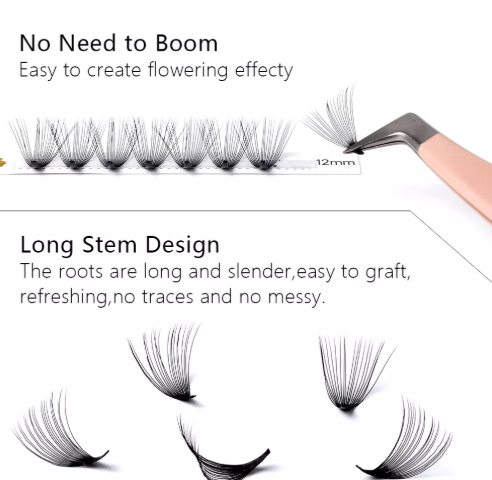 D Curl Eyelashes Extensions D Curl Eyelashes Extensions