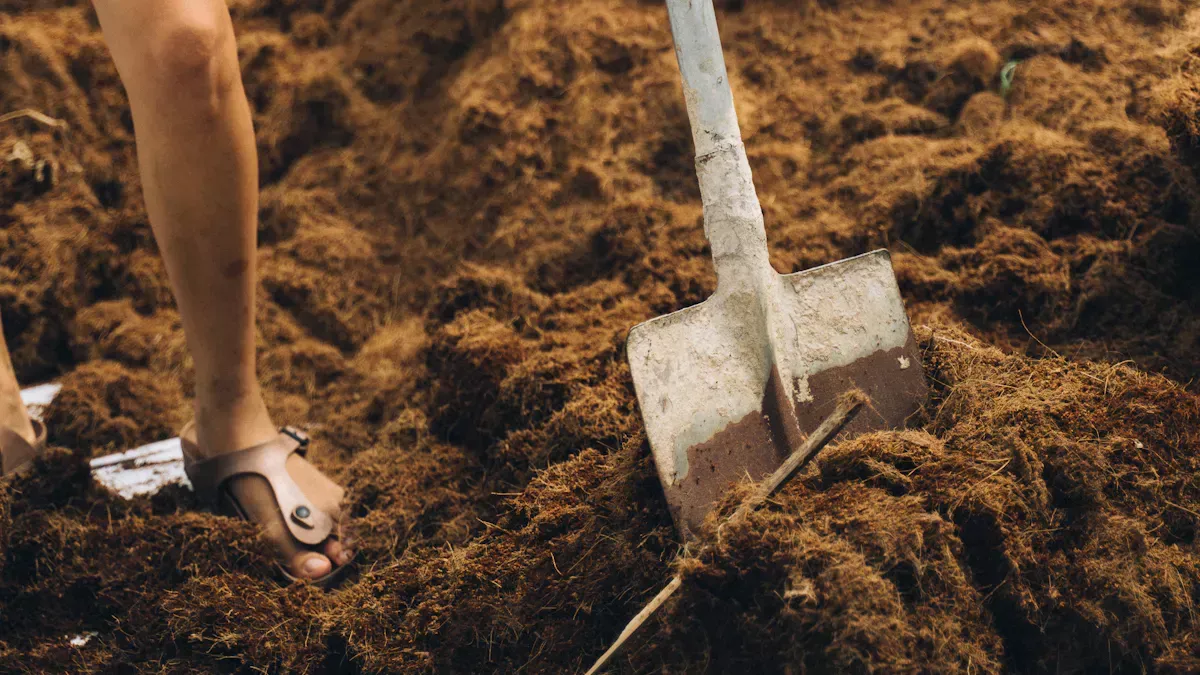 Roller Granulator ընդդեմ խոնավ գործընթացի