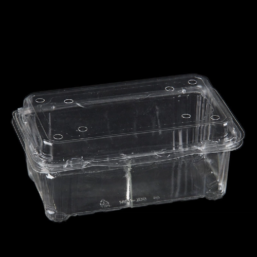 transparente Obstkiste (1)