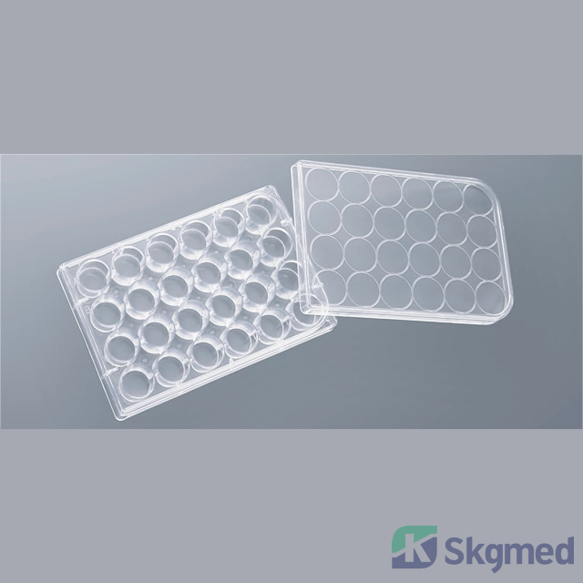 đĩa văn h&oacute;a