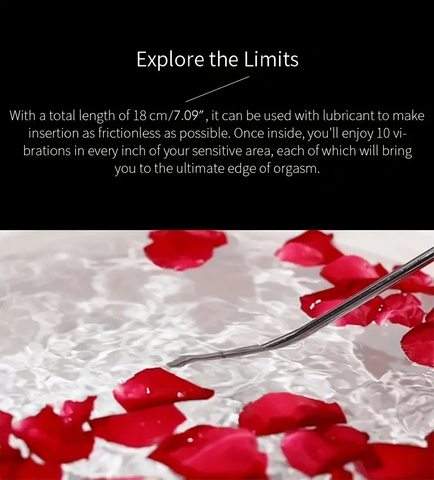 Electric Urethral Plug, Metal Urethra Dilators