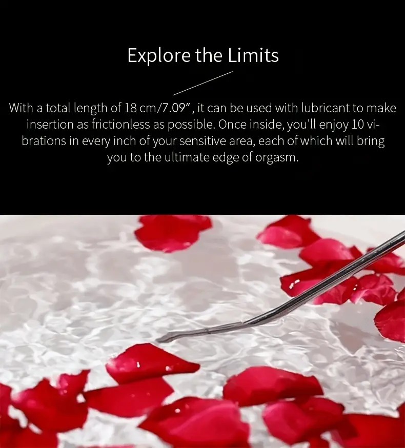 Electric Urethral Plug, Metal Urethra Dilators