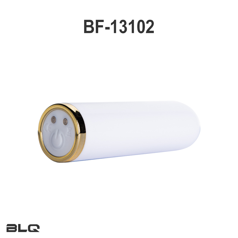 Remote Controlled Vibrating Bullet