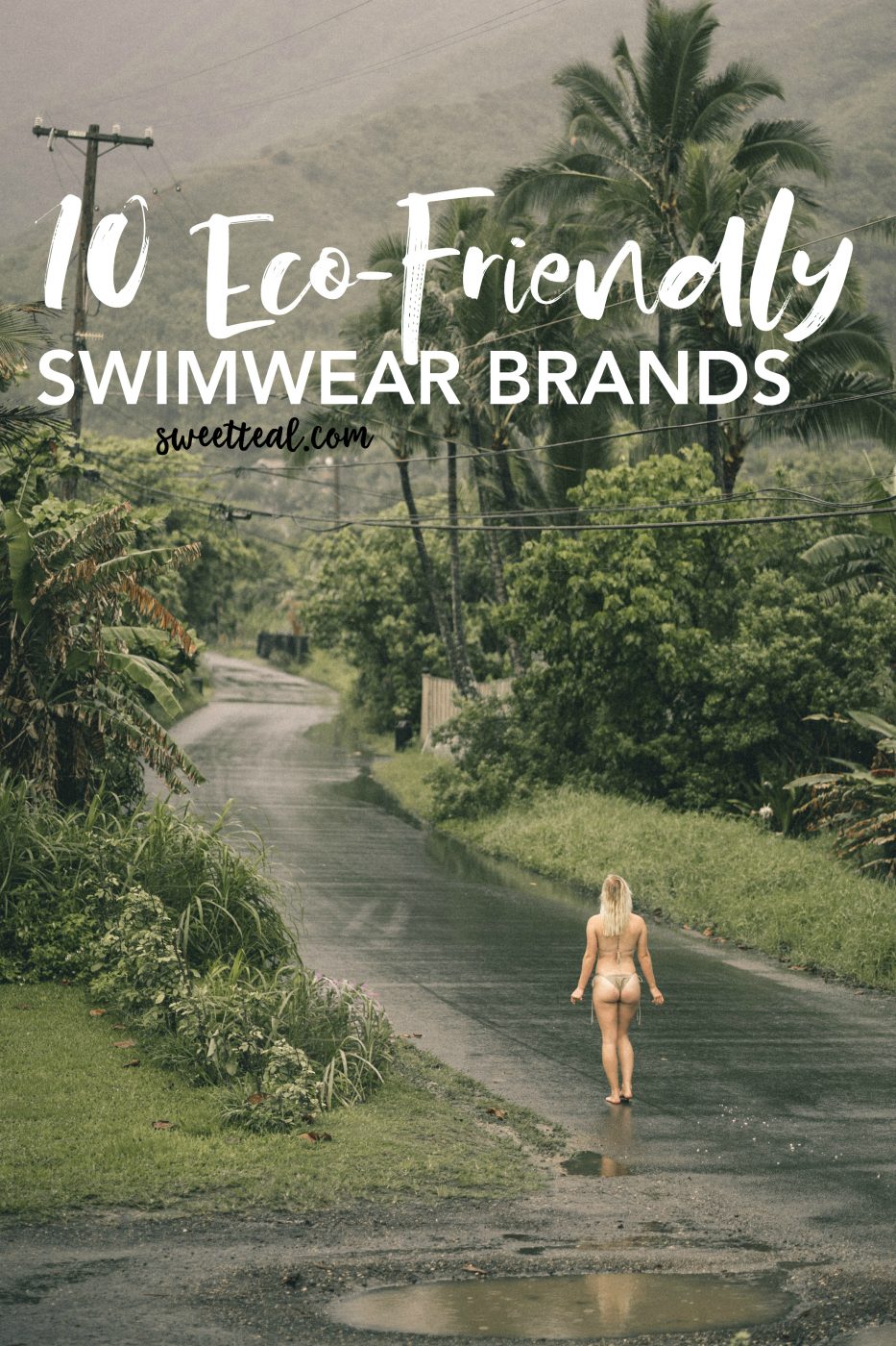 X Eco-Friendly Vestibulum Brands