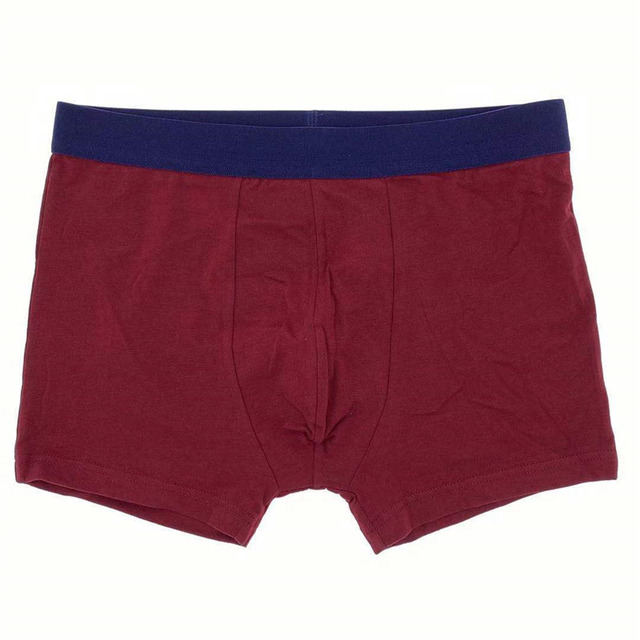 Boxer Brief Underwear for Man