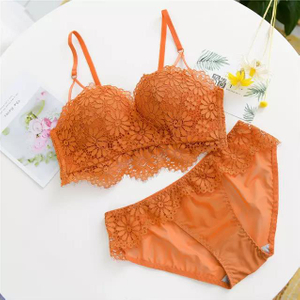 Ladies Panty Bra Set