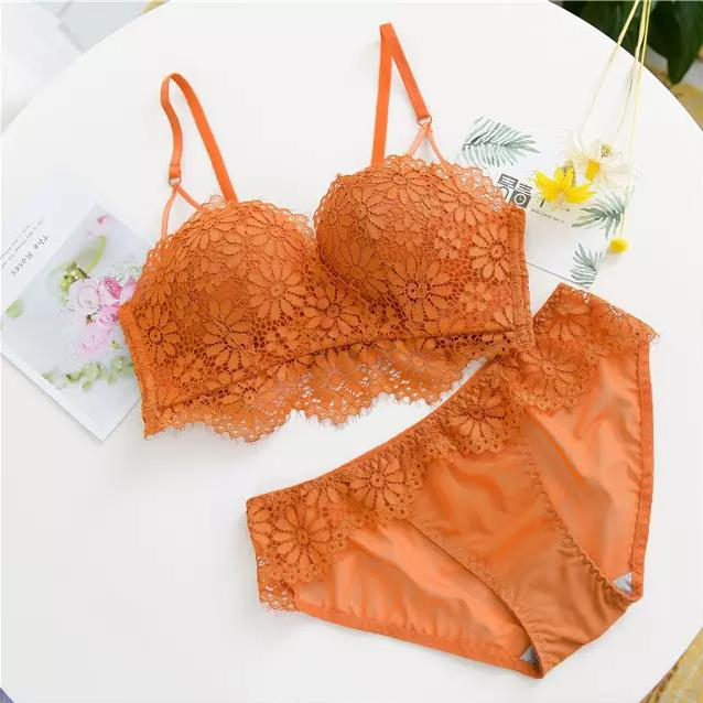 Ladies Panty Bra Set