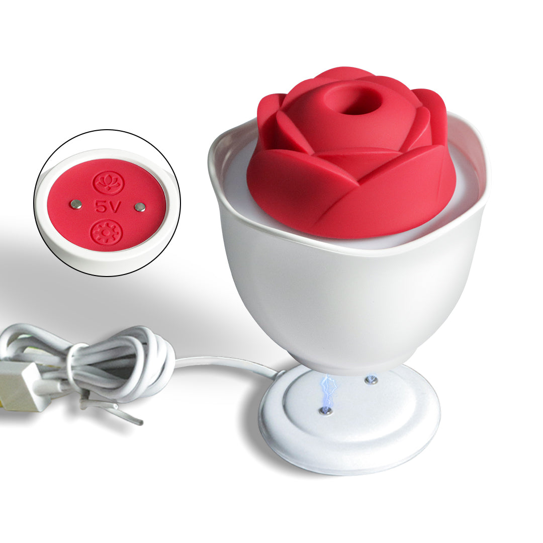 What Are the Best Chargers for Sex Toys?