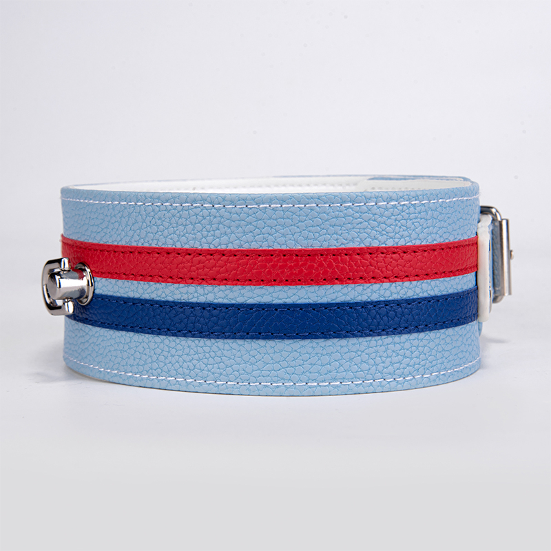 SM Products Luxury Style Leather Neck Collar Sex Collar For Women Collar and Chain Gifts For Couple