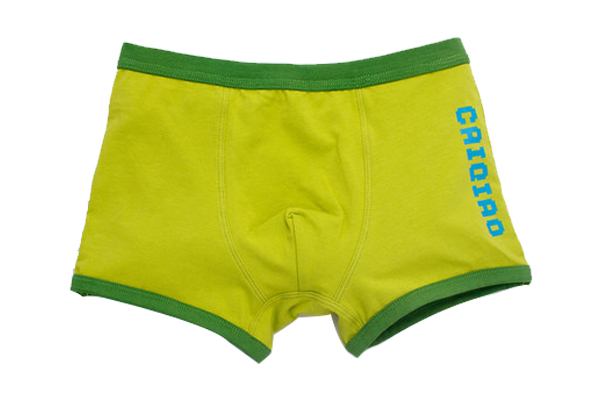 Boys Short Underwear