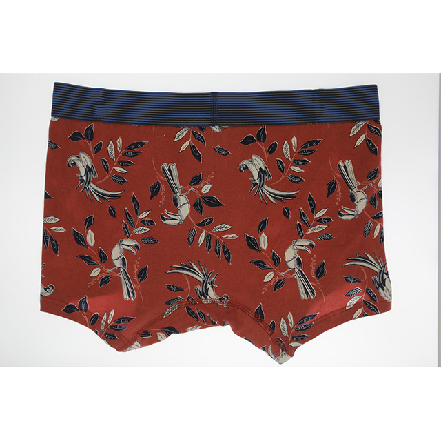 Males Boxer Briefs Short