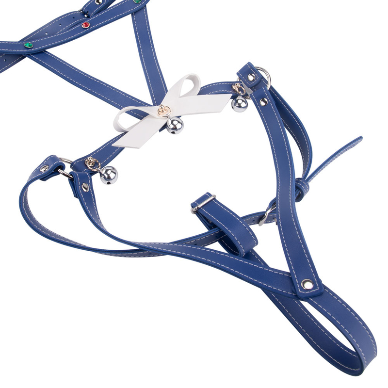 Luxury Adjustable Bondage Set in Supple Leather Dominance and Lingerie Harness for Women to Explore Fetish Restraints
