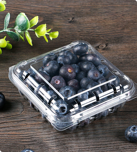 Plastikbox