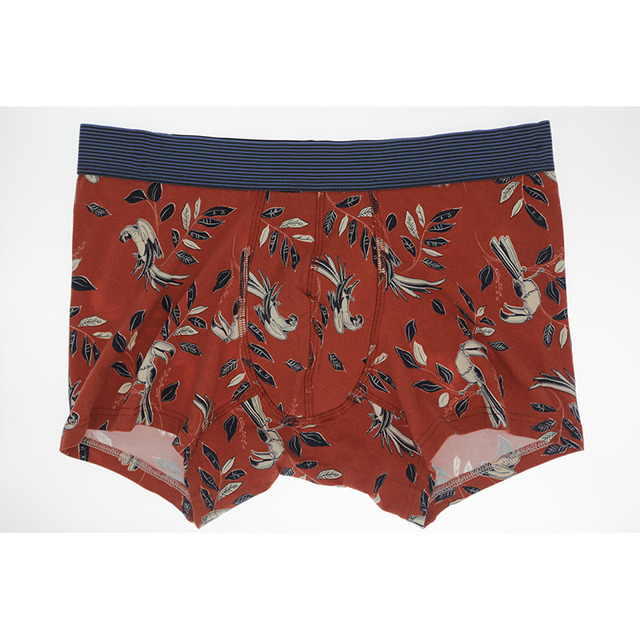 Boxer da uomo corti