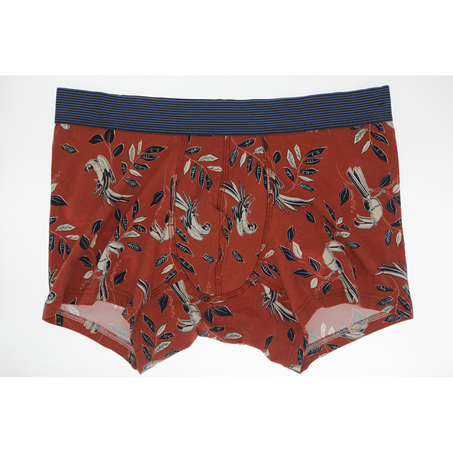 Males Boxer Briefs Short