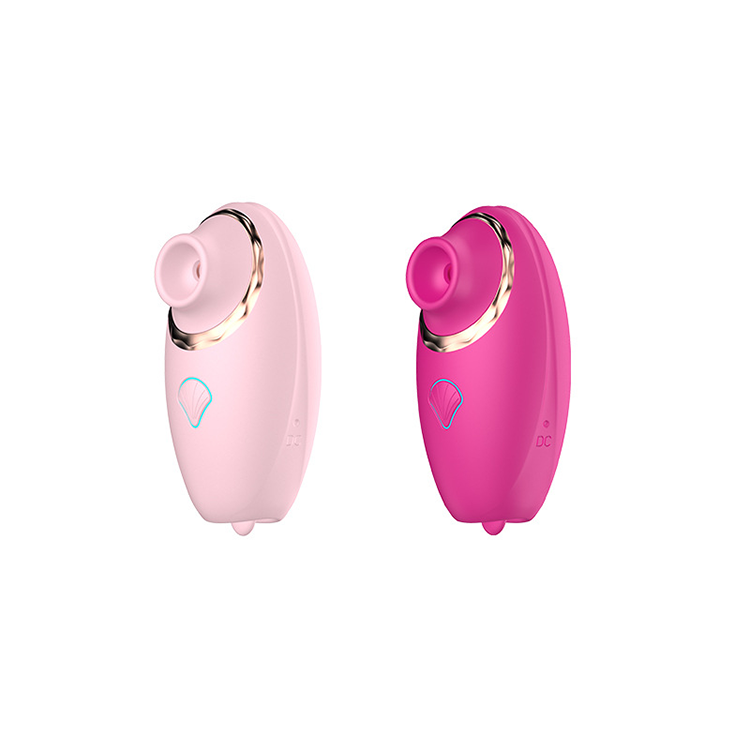 How Do I Find A Clitoris Vibrator That Fits My Budget?