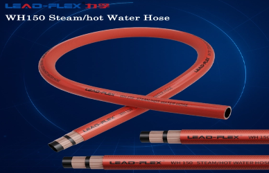 Steam Hose Dampslange