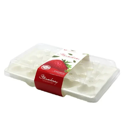 Bo&icirc;te en plastique (1)