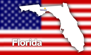 state florida custody laws.jpg