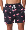 Pantaloncini da spiaggia da uomo Trunk Quick Dry