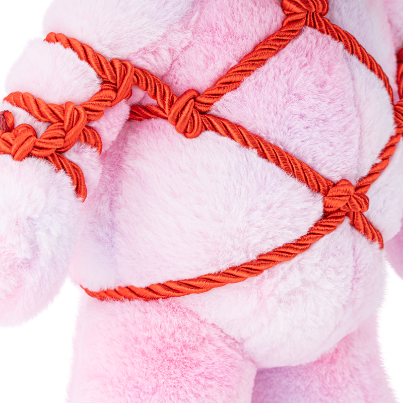 BDSM Erotic Teddy Bear A Kinky Bondage Themed Plush Toy for Adult Couples an Adventurous and Unique Sex Toy Gift​