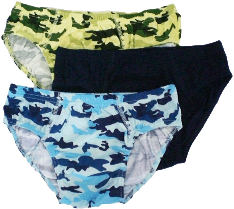 Basic Underpants for Boys