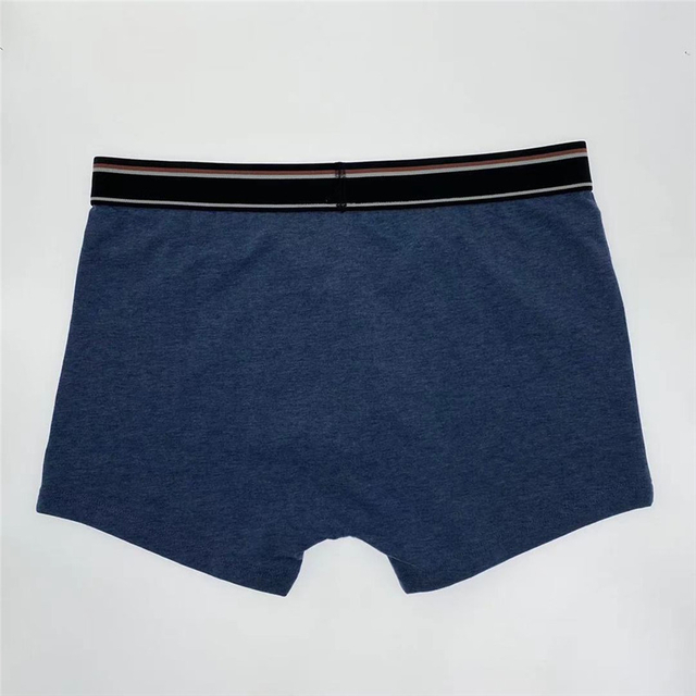 Calzoncillos tipo bóxer para hombre grandes