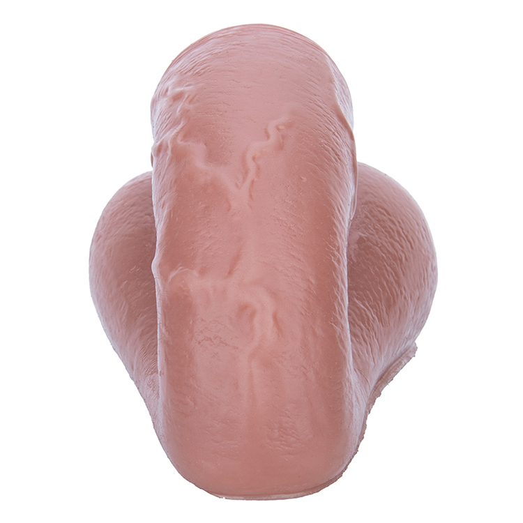 Artificial Limb Safe Material Silicone Adult Dildo