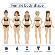 female body shape.jpg