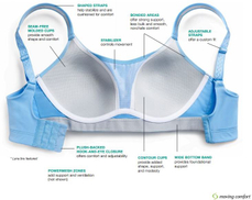 Structure and Components of a Sports Bra.jpg