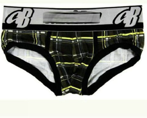 Males Basic Underpants 