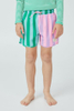 Green Stripe Swim Short