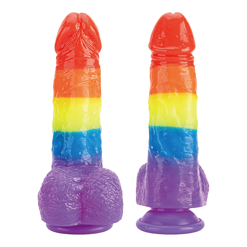 Colorful Rainbow Soft Jelly Real Penis Dildo