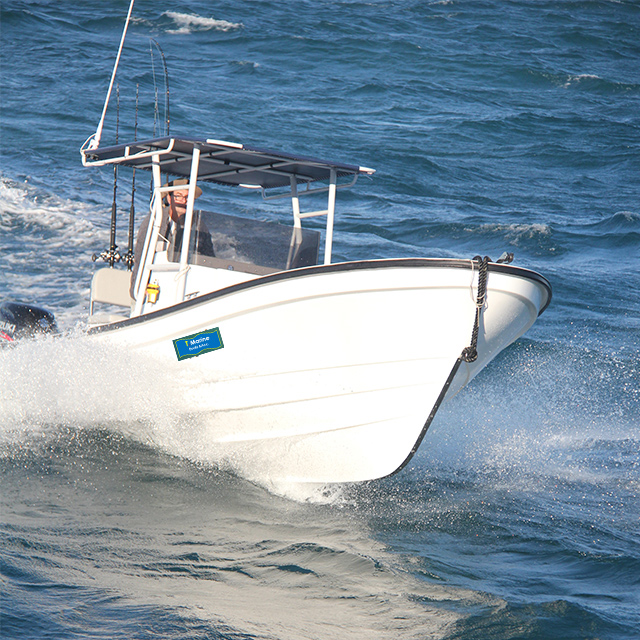 25 Fu&szlig; langes Glasfaserboot im Panga-Stil