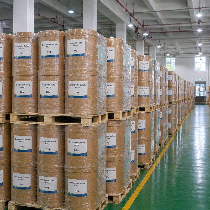 G&oacute;i h&agrave;ng hải Chondroitin Sulfate