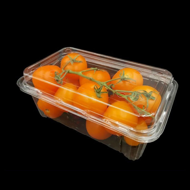 ma&szlig;geschneiderte PET-Verpackungsbox